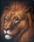 AC68998 Lion