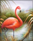 KM90064 Flamingo III