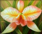 KM90074 Tropical Bloom II
