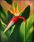 KM90075 Tropical Bird Of Paradise