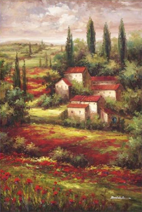 AC27370 Tuscan Poppy Fields II