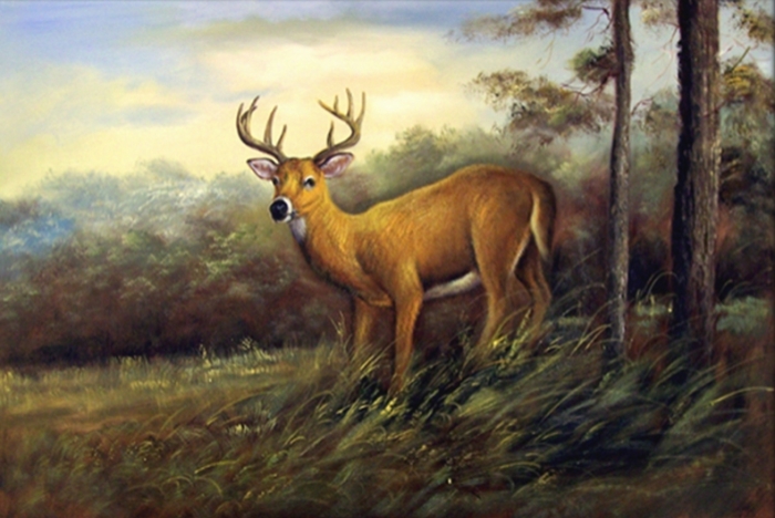 KM89115 White Tail Deer II