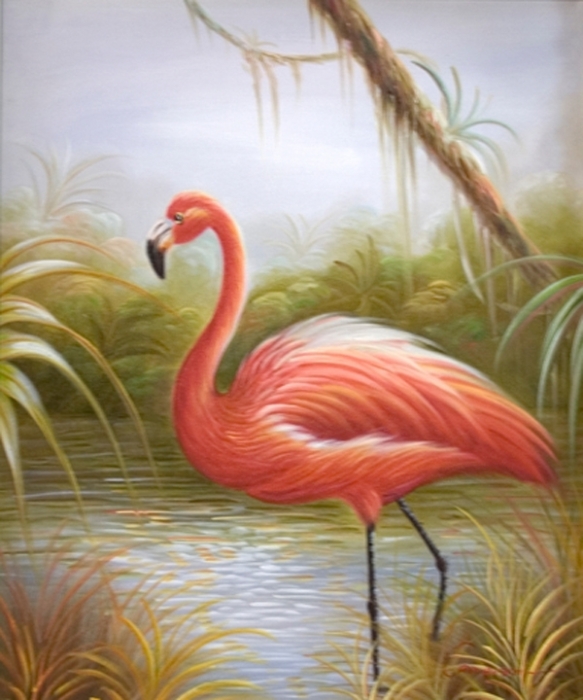 KM90069 Flamingo IV