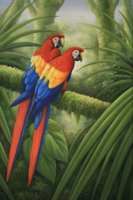 PA89269 Tropical Birds II