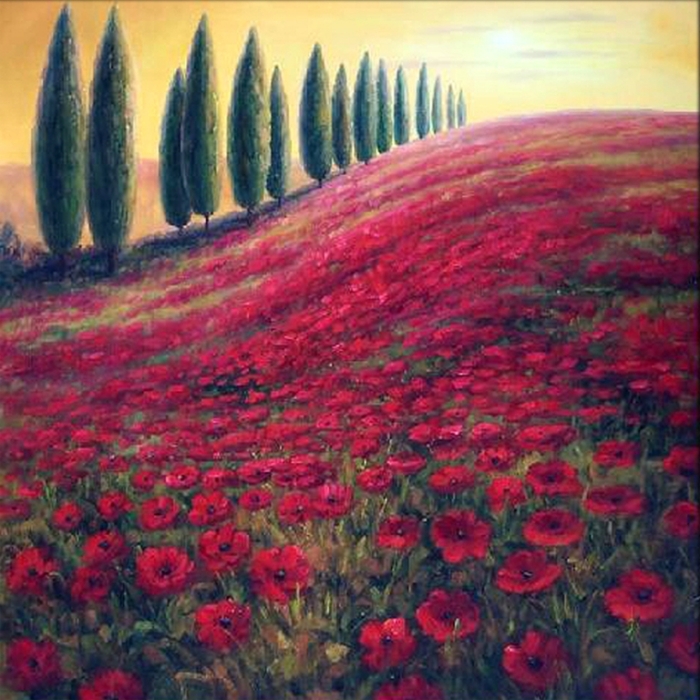 RM10060 Poppies and Cypress Trees
