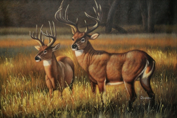 YK89732 Deer Country II