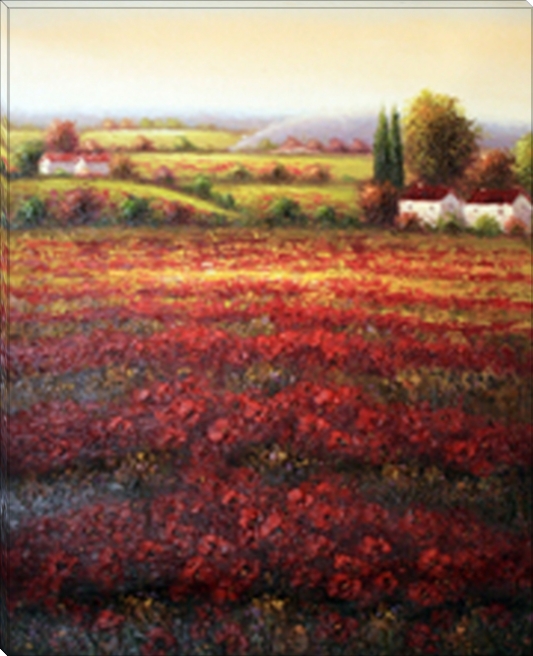 PA90365 Poppy Meadow II